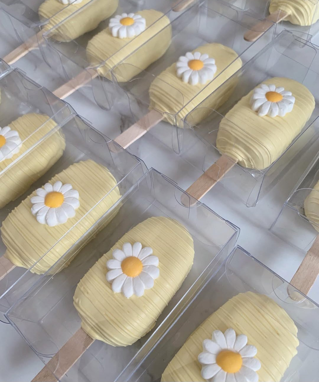 Daisy cakesicles